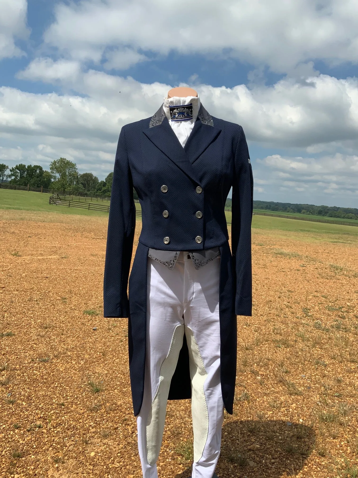 Animo Lageo Custom Tailcoat in Navy IT 40