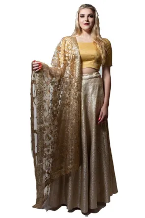 Champagne and Ivory Beige Lehenga Choli- Clearance